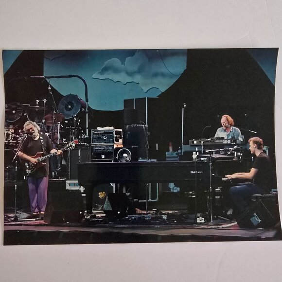 Grateful Dead Concert Photograph Licensed Rob Cohn Dead Images 8"x10" Band Perfo - Picture 10 of 14
